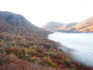 resize0095