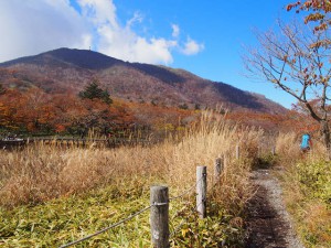 resize0098