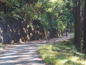 resize0099