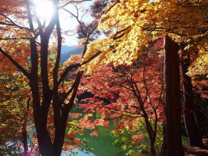 resize0112