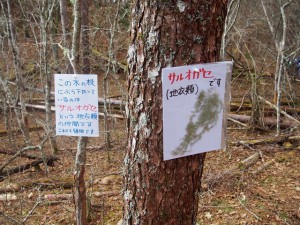 resize0114