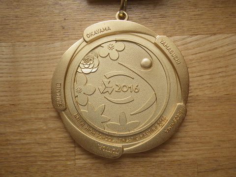 simgp0393