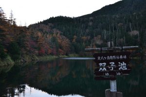 resize0216