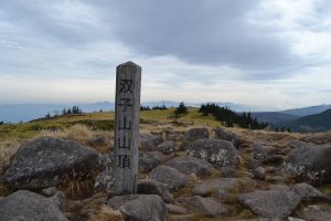 resize0219